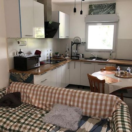 Logement Entier Entree Autonome Ch,Sdd,Cs Privatives Aussonne Екстериор снимка