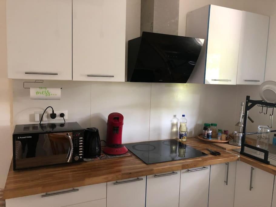 Logement Entier Entree Autonome Ch,Sdd,Cs Privatives Aussonne Екстериор снимка