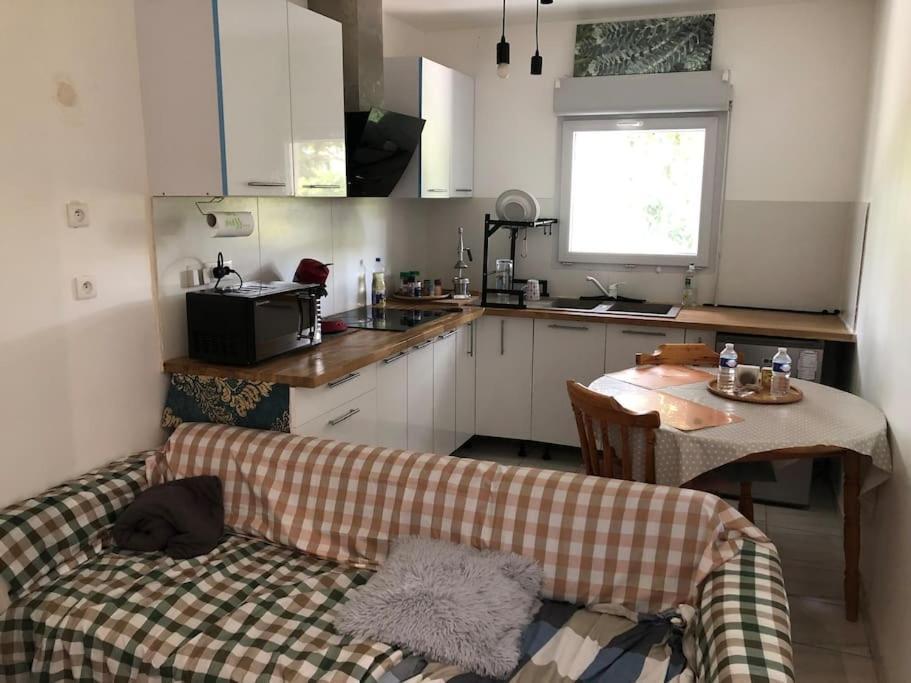 Logement Entier Entree Autonome Ch,Sdd,Cs Privatives Aussonne Екстериор снимка